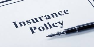 What Are the 3 Most Important Insurance